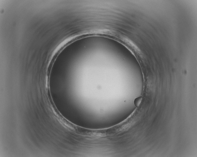 X0000081571324200701291205