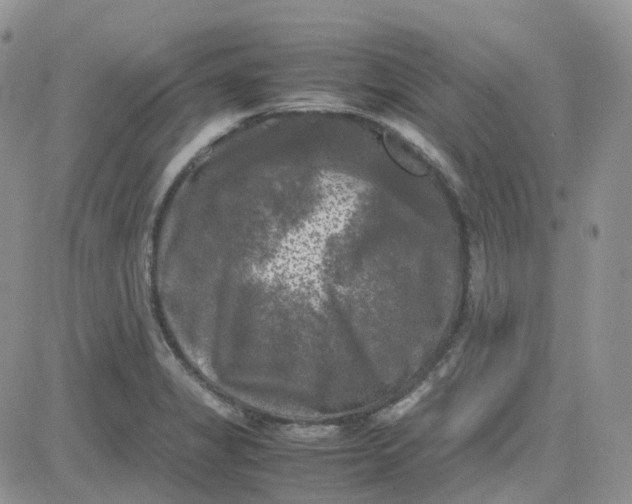 X0000081571325200701291205