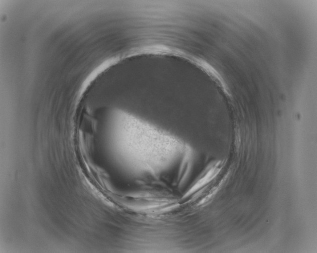 X0000081571326200701291205