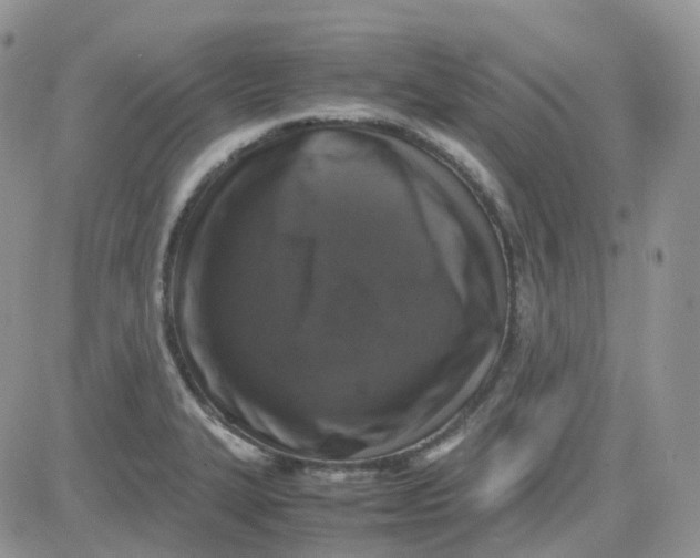 X0000081571327200701291205