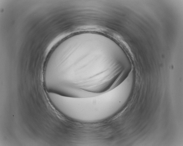 X0000081571328200701291205