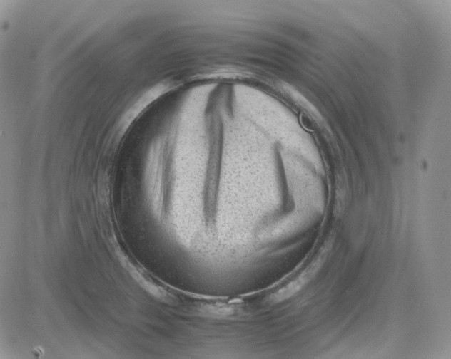 X0000081571329200701291205