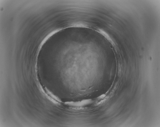 X0000081571331200701291205