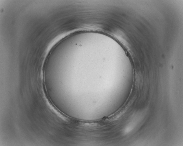 X0000081571335200701291205