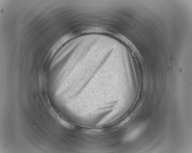 X0000081571337200701291205