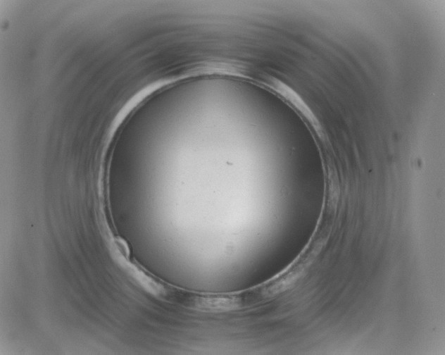 X0000081571339200701291205