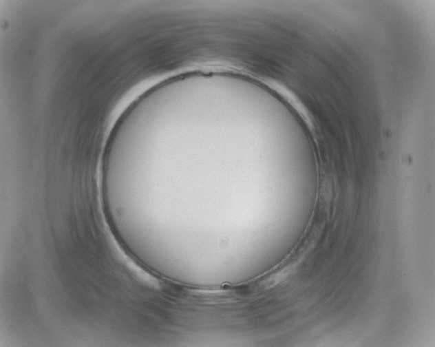 X0000081571343200701291205