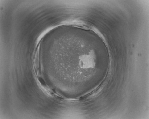 X0000081571344200701291205