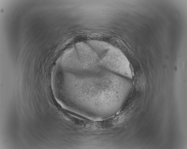 X0000081571345200701291204