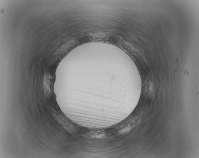 X0000081571346200701291204