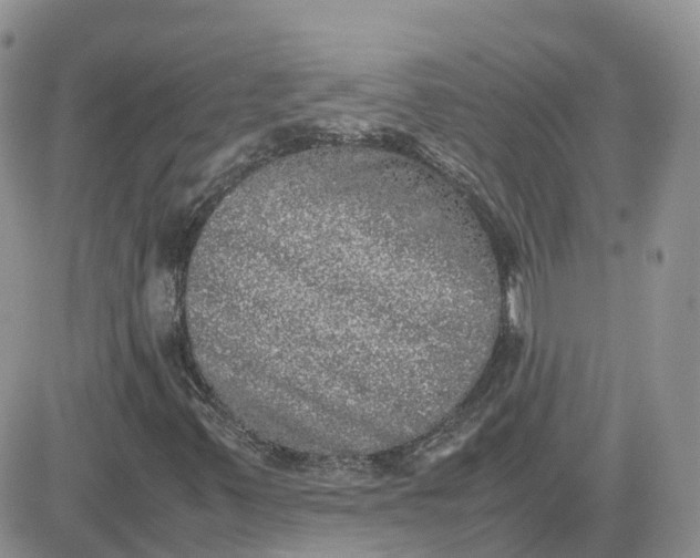 X0000081571347200701291204