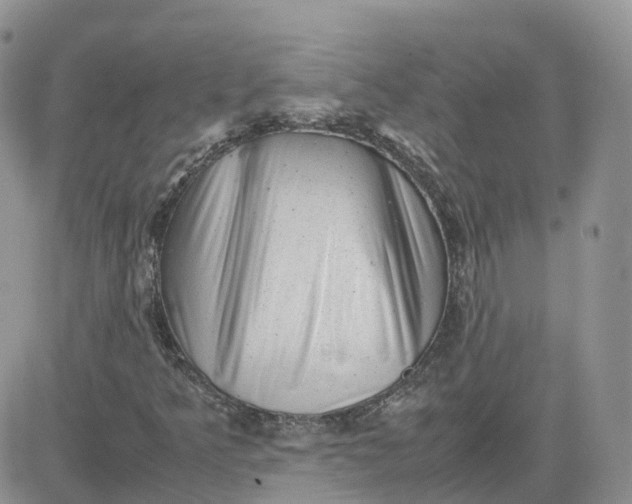 X0000081571349200701291204