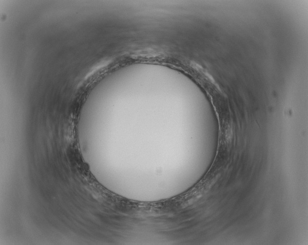 X0000081571350200701291204