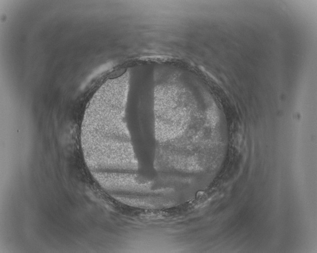 X0000081571351200701291204