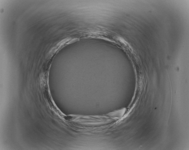 X0000081571353200701291204