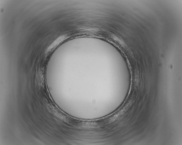 X0000081571354200701291204