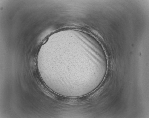 X0000081571355200701291204