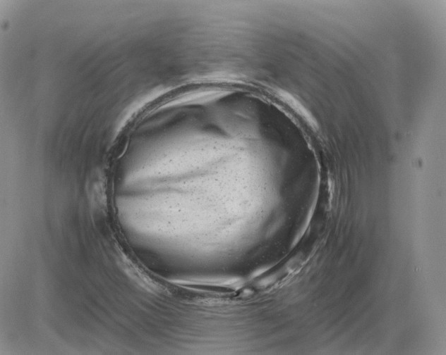 X0000081571356200701291204