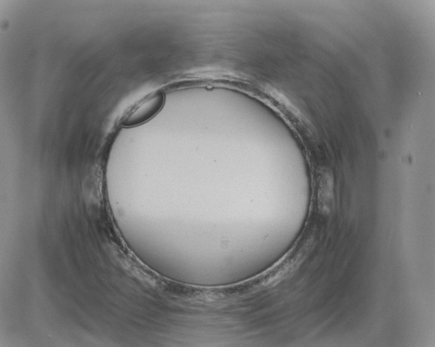 X0000081571358200701291204