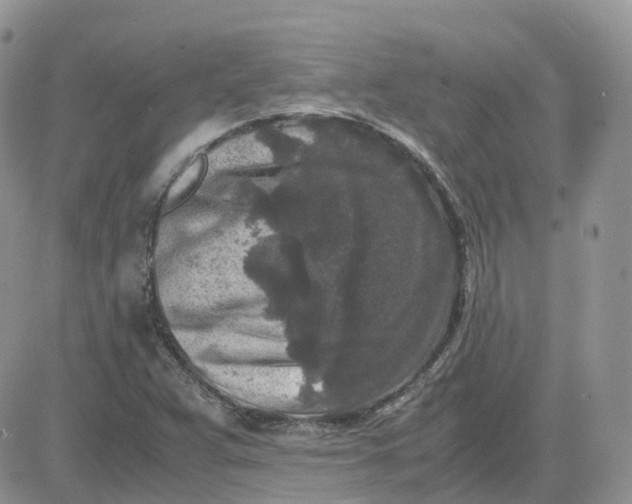 X0000081571359200701291204