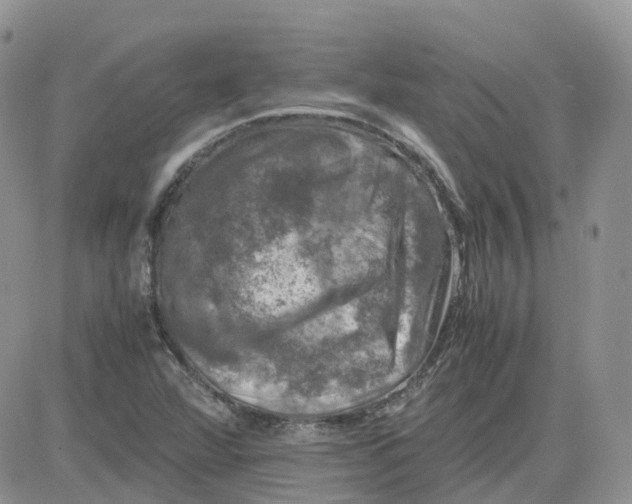 X0000081571360200701291204