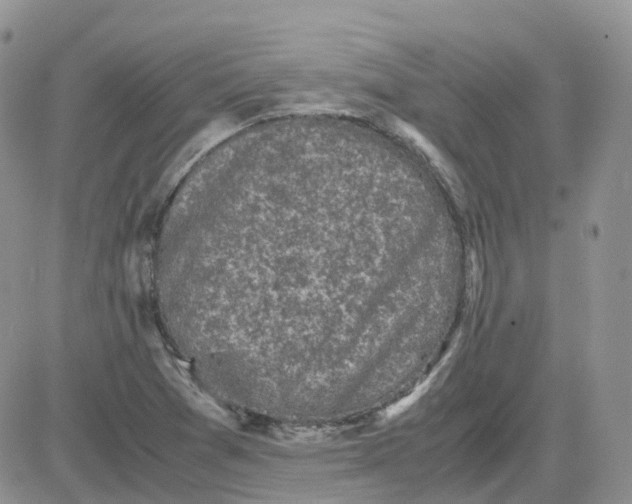 X0000081571361200701291204