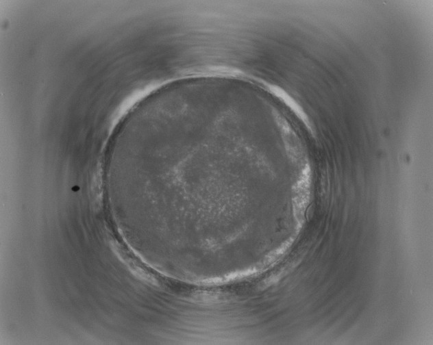 X0000081571364200701291204