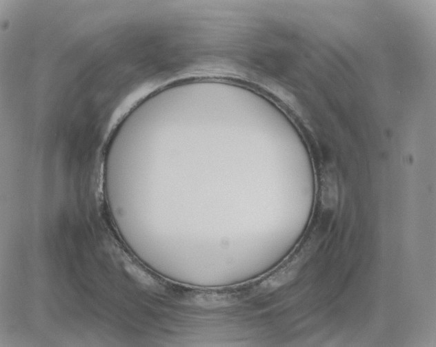 X0000081571366200701291204