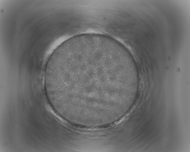 X0000081571367200701291204