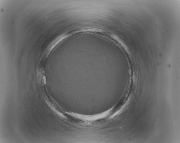 X0000081571369200701291204