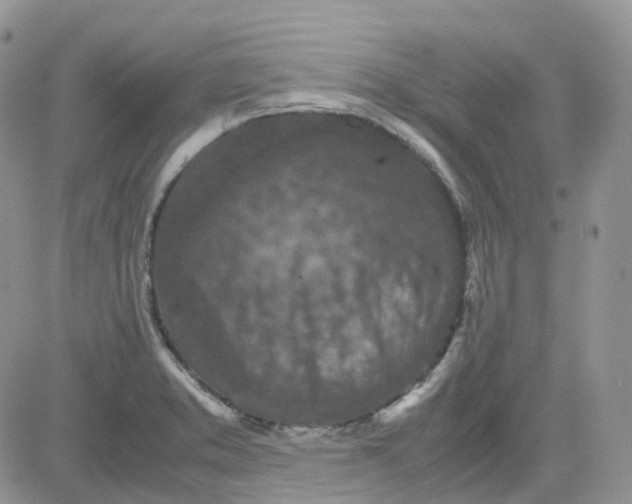 X0000081571373200701291204