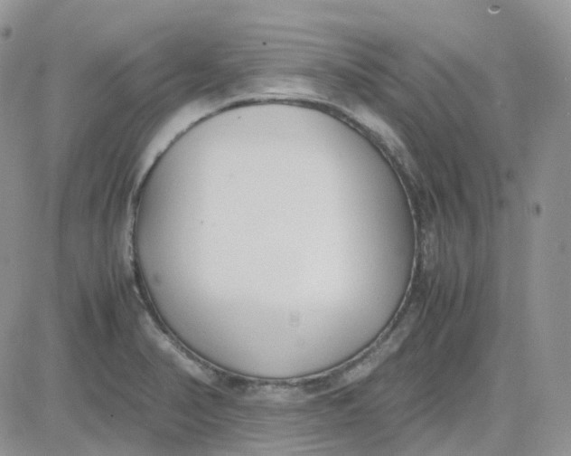 X0000081571374200701291204