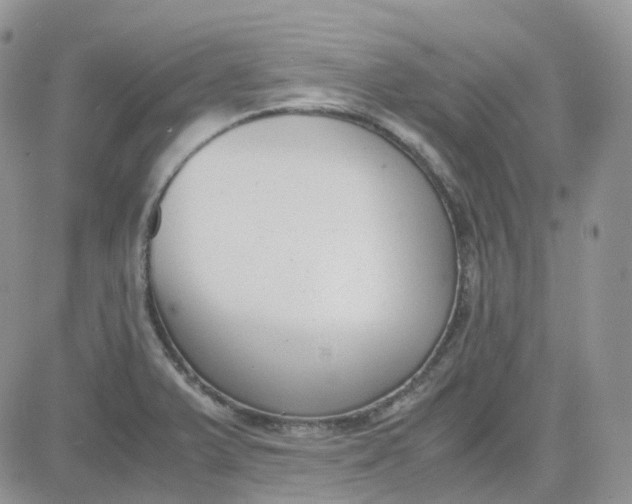 X0000081571375200701291204