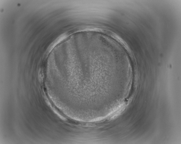 X0000081571377200701291204