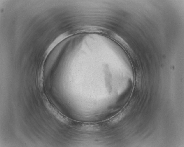 X0000081571378200701291204