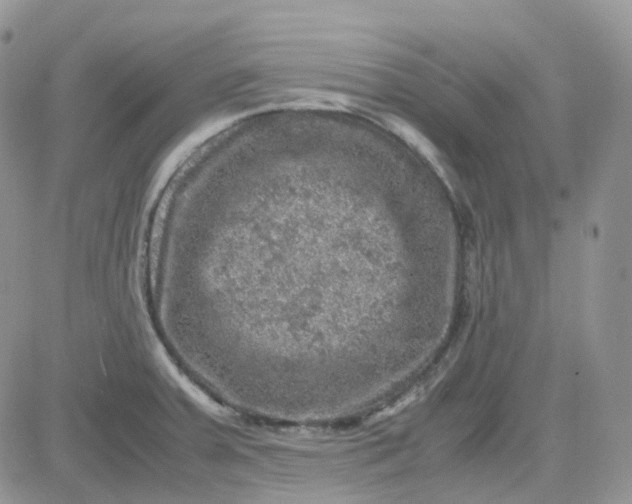 X0000081571379200701291204