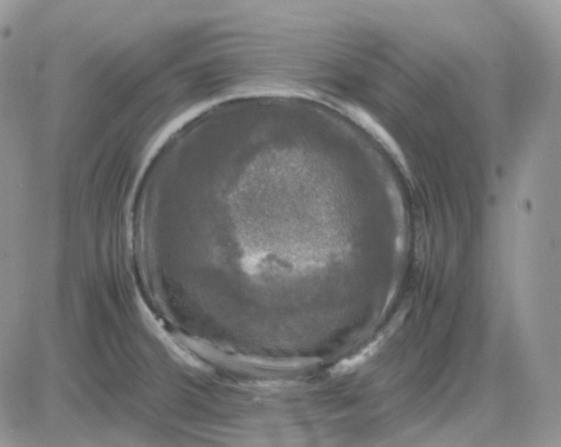 X0000081571380200701291204