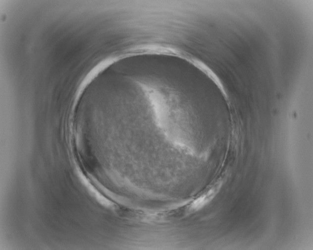 X0000081571381200701291204