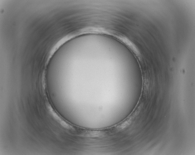 X0000081571382200701291204