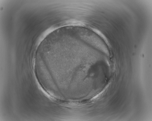 X0000081571383200701291204