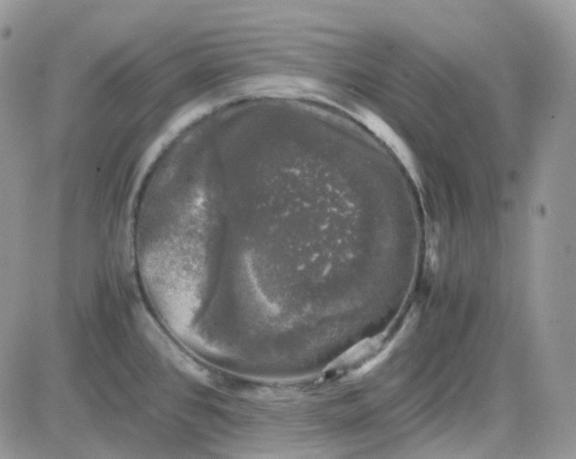 X0000081571384200701291204