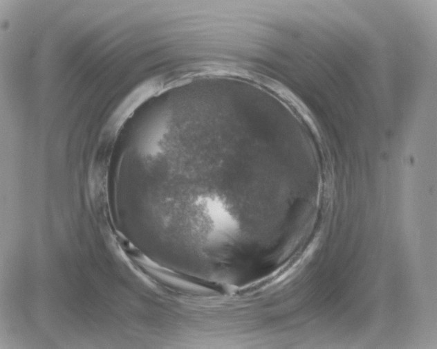 X0000081571385200701291204