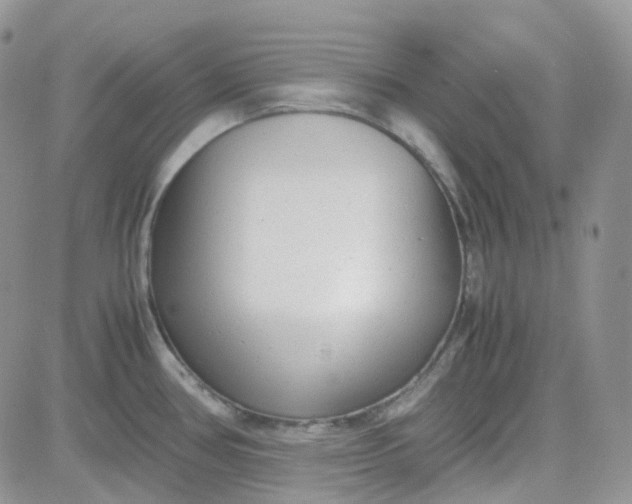 X0000081571386200701291204