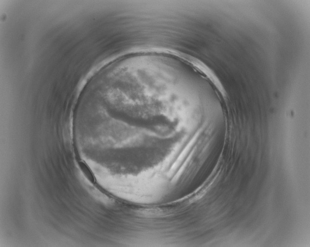 X0000081571388200701291204