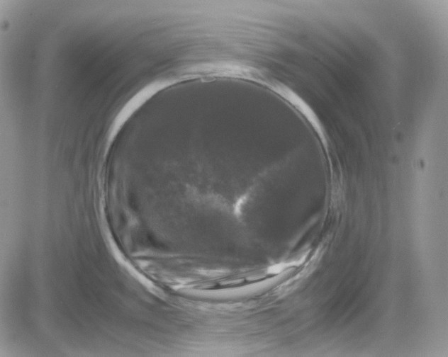 X0000081571389200701291204