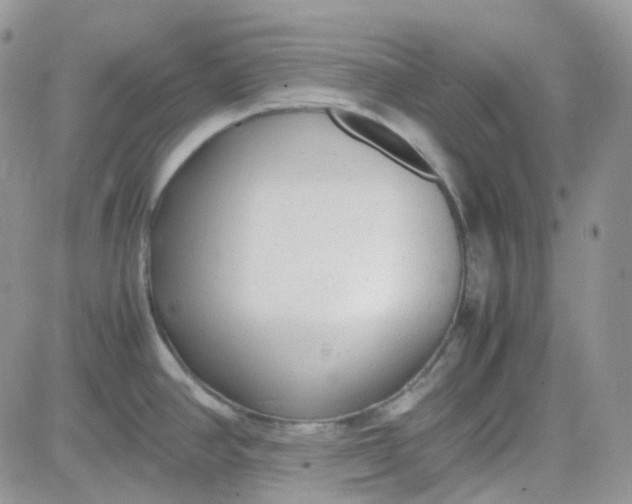 X0000081571390200701291204