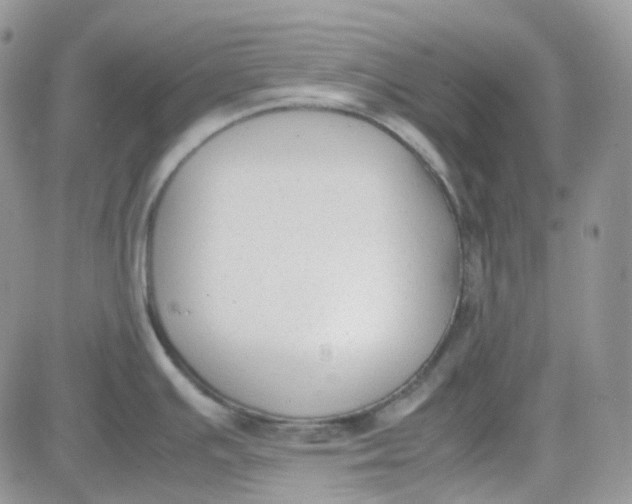 X0000081571391200701291204