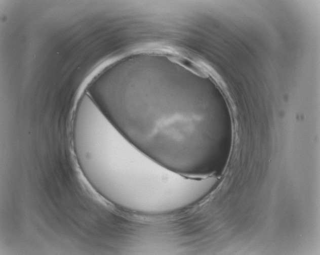 X0000081571392200701291204