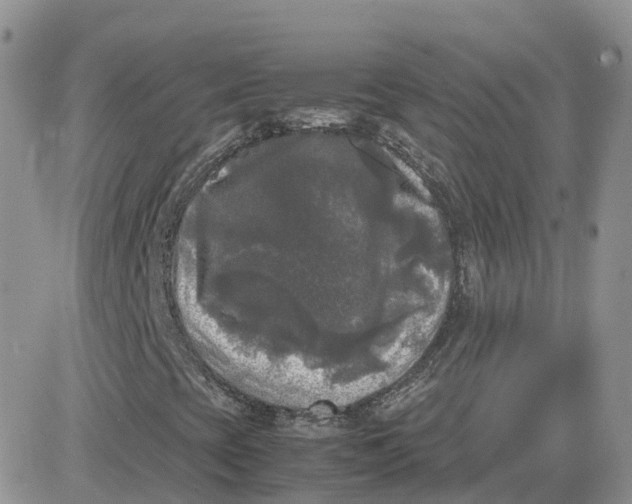 X0000081571393200701291203