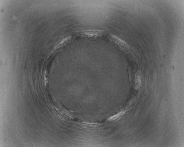 X0000081571394200701291203